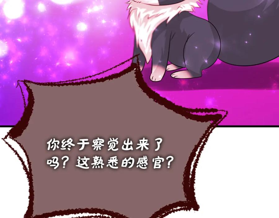 《凤凰血》第49话 争执 第82页