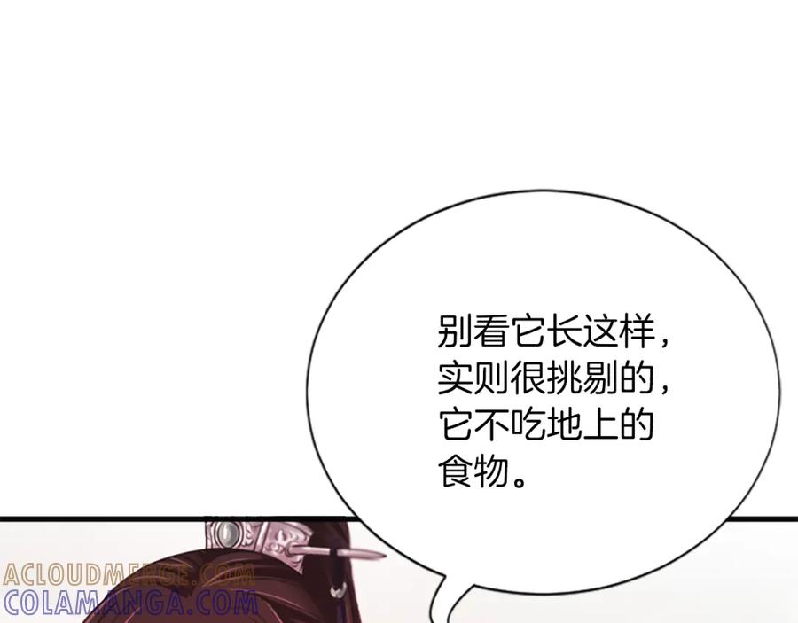 《凤凰血》第56话 探寻真相 第17页