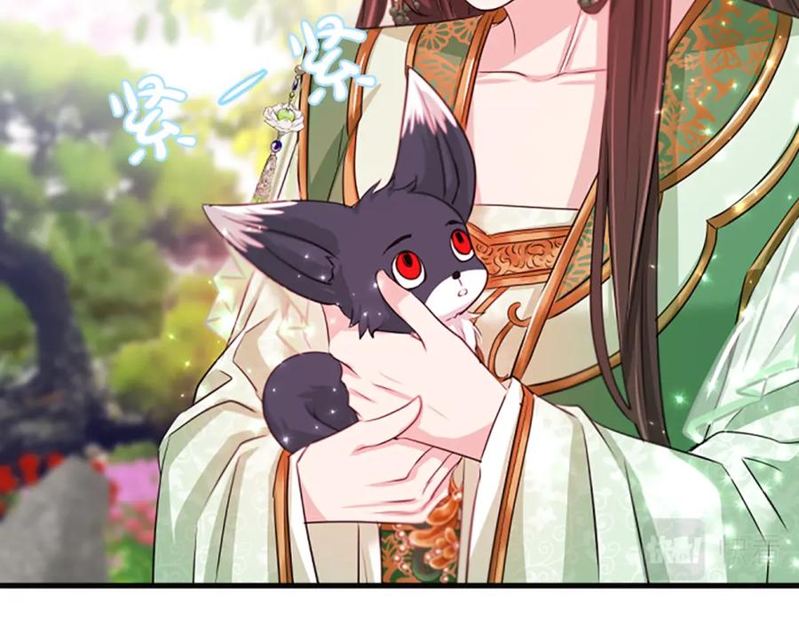 《凤凰血》第58话 痛苦的经历 第164页