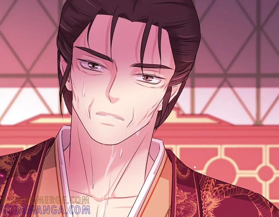 《凤凰血》第89话 潜藏的危机 第17页