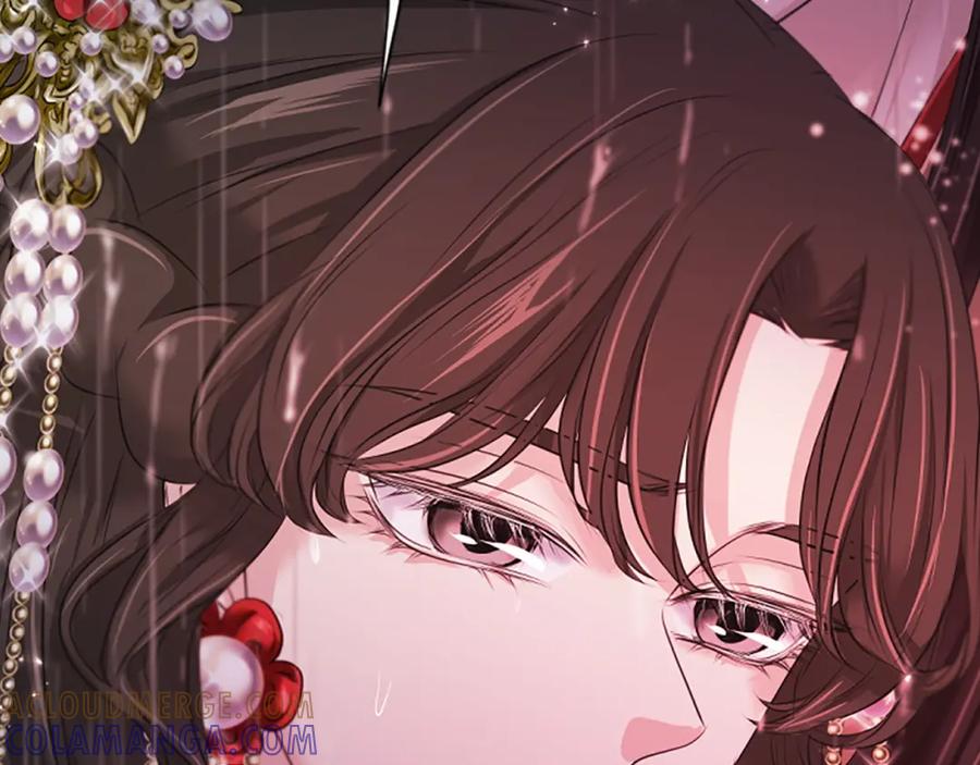 《凤凰血》第96话 新的开始 第17页