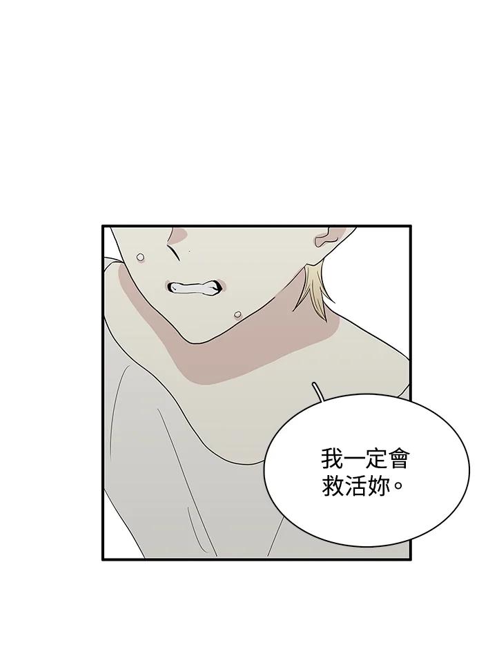 《梅蒂纳》第81话 第53页