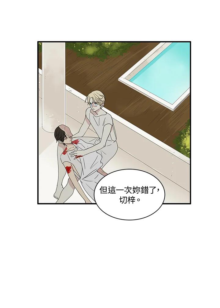 《梅蒂纳》第81话 第50页