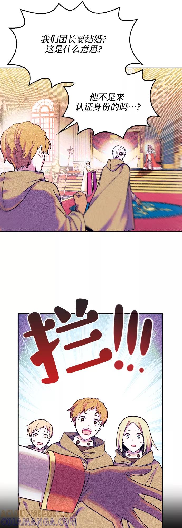 《国王和圣骑士的掠夺婚》第2话 第29页