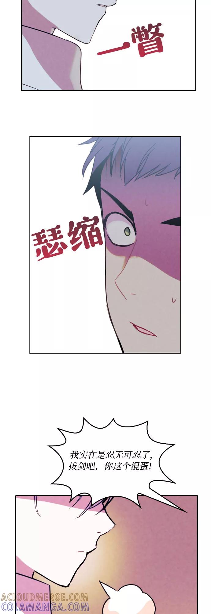 《国王和圣骑士的掠夺婚》第8话 第15页