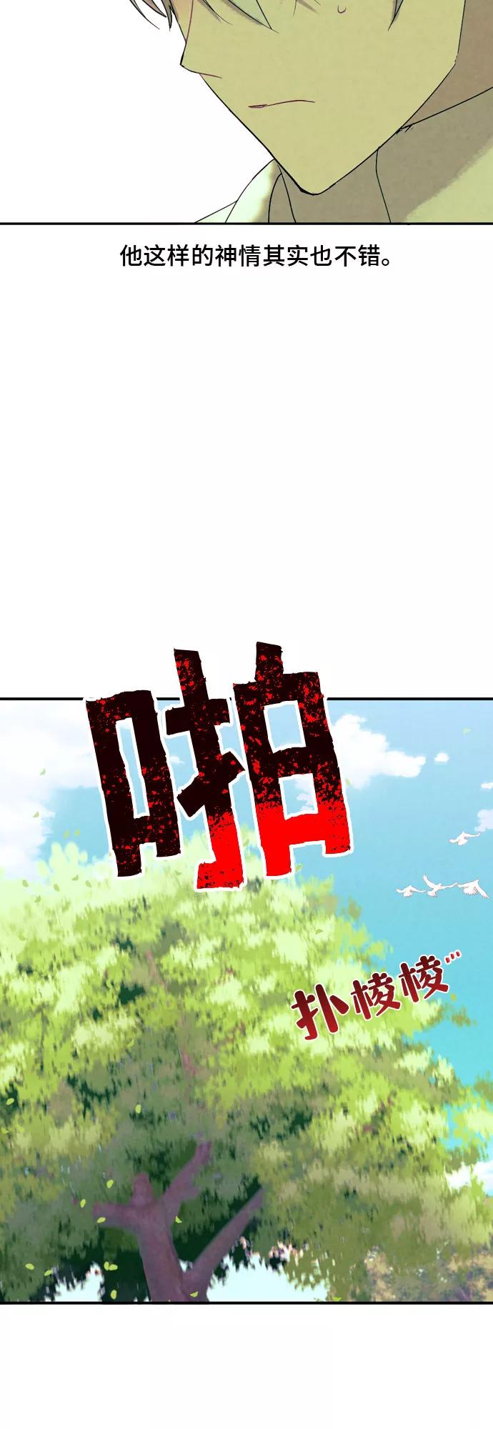 《国王和圣骑士的掠夺婚》第9话 第23页