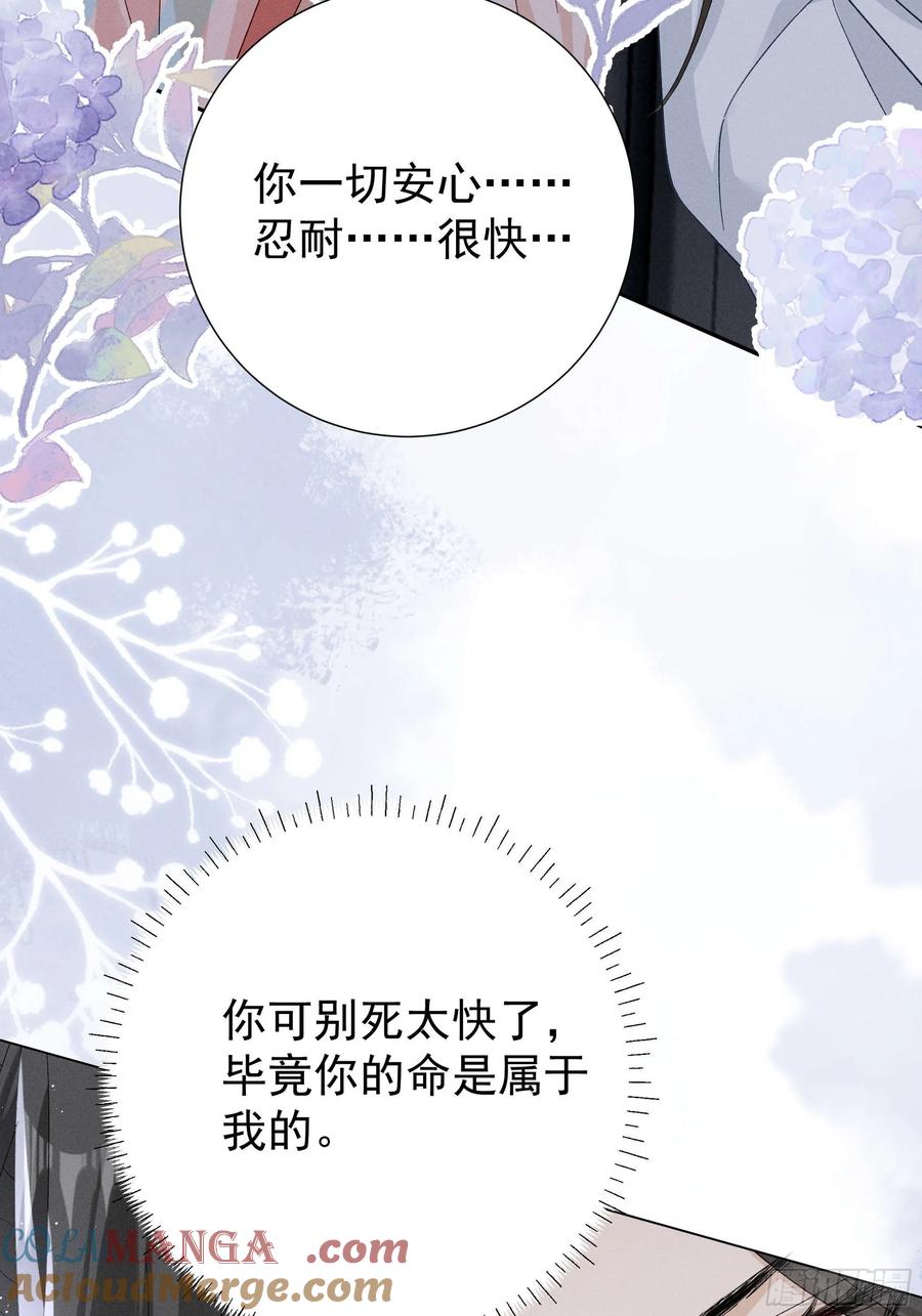 《顾清乔反穿越记事：拒绝恋爱脑》017 我比段玉，谁更好看？ 第31页