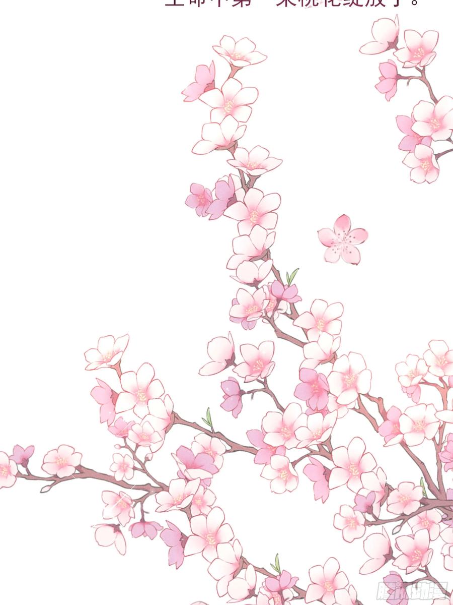 《顾清乔反穿越记事：拒绝恋爱脑》03 告别铁锅美男！顾清乔迎来亲事！ 第38页