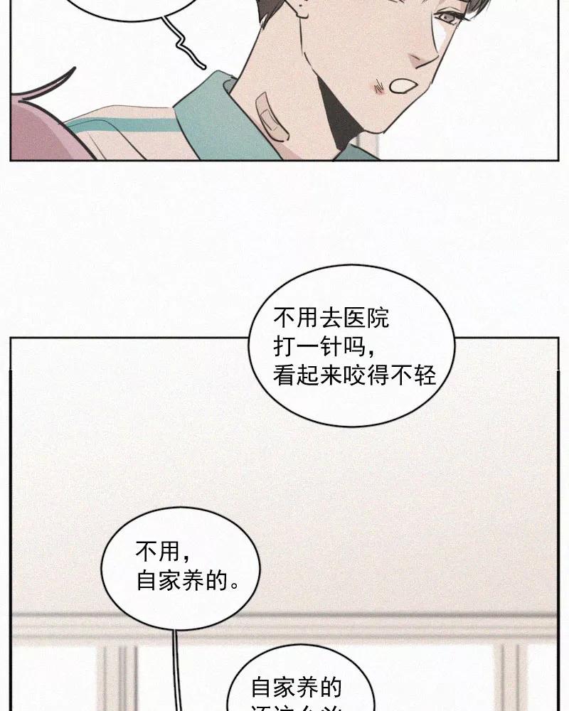 《顾事与你：值日300天》番外（1） 第29页