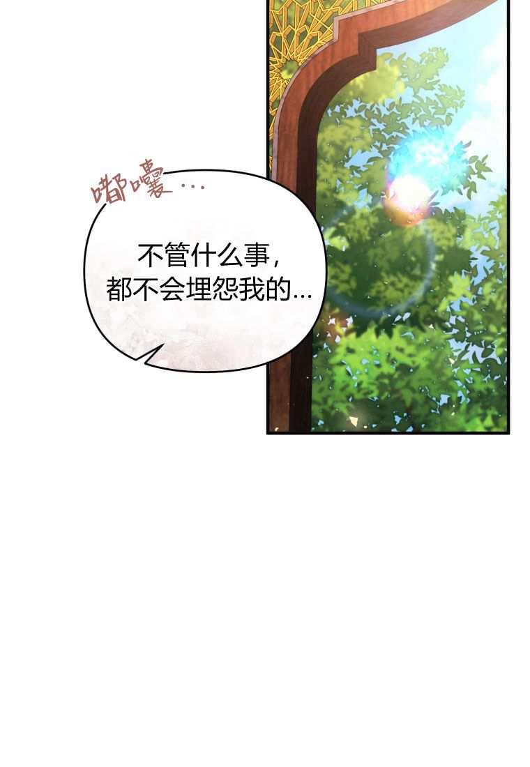 成为苏尔坦珍爱的猫咪 第43话 第68页