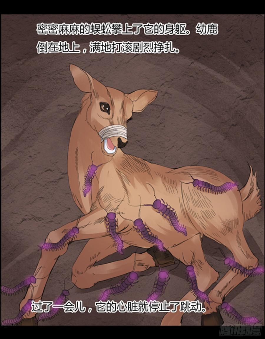 《蛊真人》锯齿金蜈 第19页