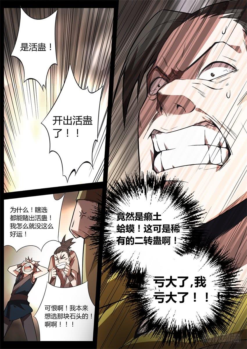《蛊真人》第六块紫金石 第6页