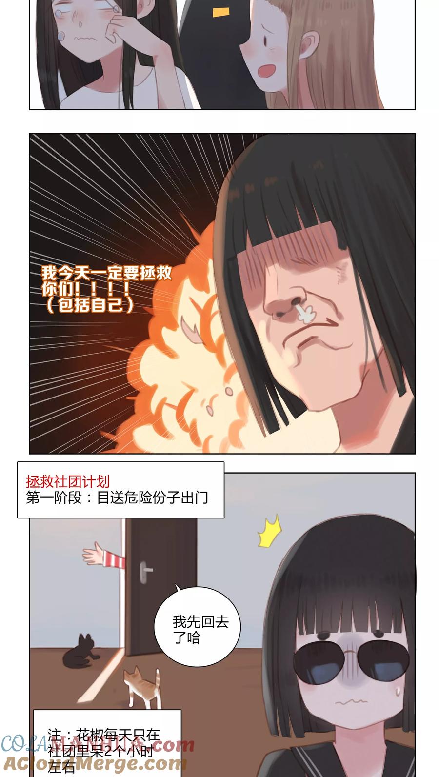 《海豹理论》第11话 第7页