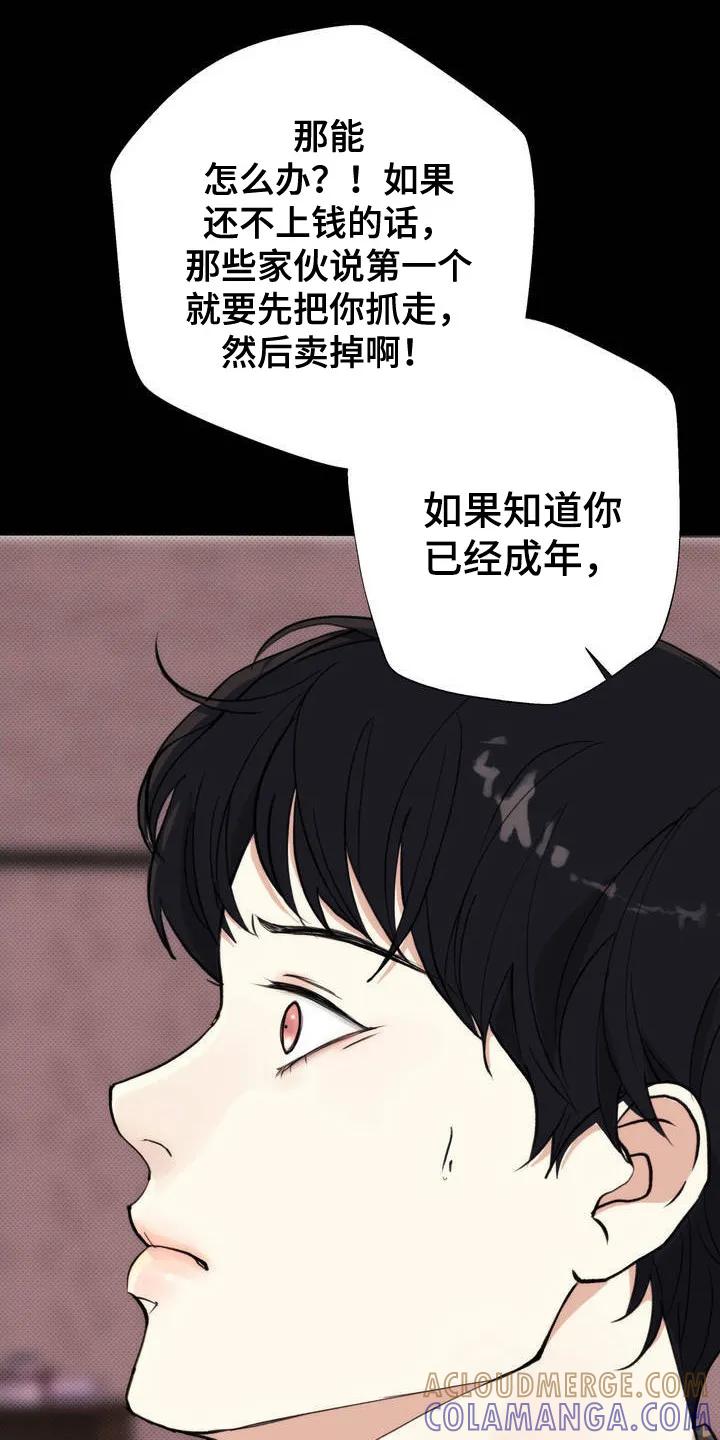 《海岛人生》第1章：高利贷 第9页
