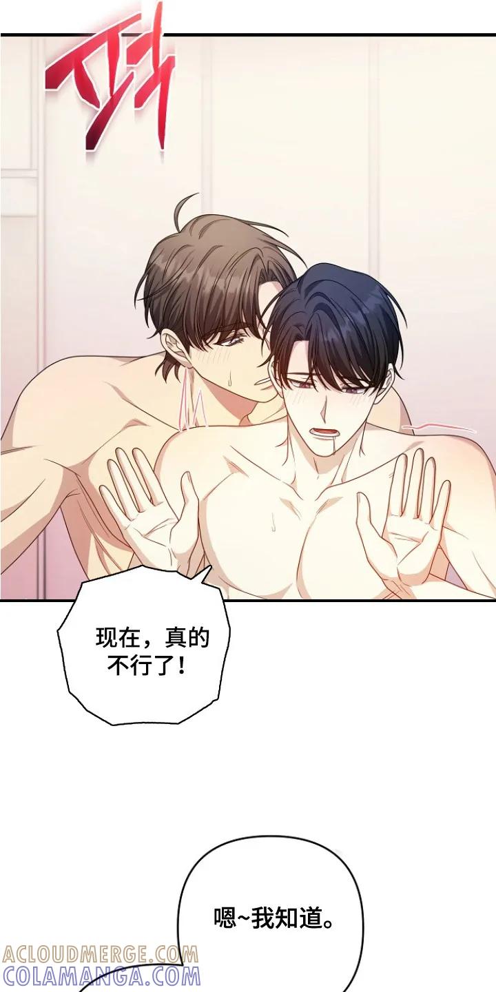《职场计划纯爱营销》第11章：脱缰的野马 第13页