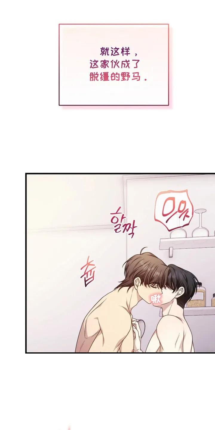 《职场计划纯爱营销》第11章：脱缰的野马 第12页