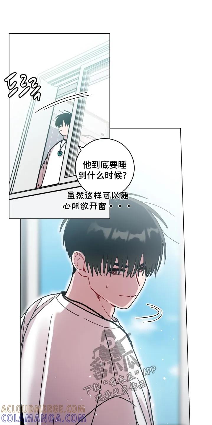 《复生之缘》第196章：什么时候醒来 第11页