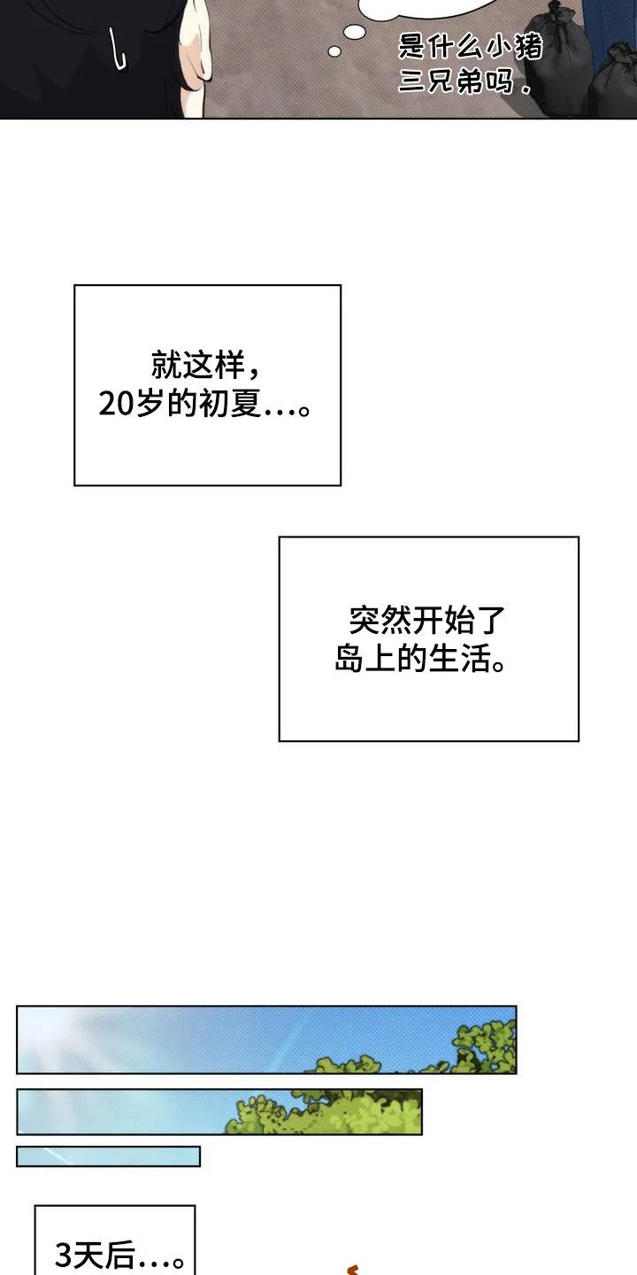 《海岛人生》第2章：小岛 第10页