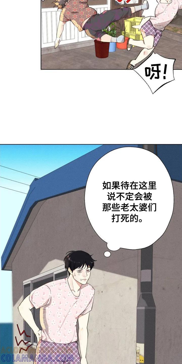 《海岛人生》第2章：小岛 第17页