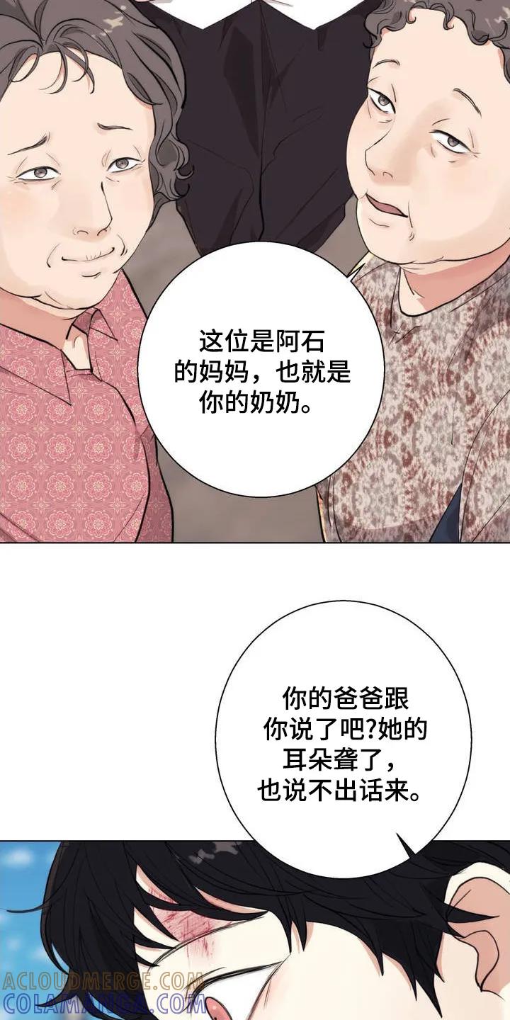 《海岛人生》第2章：小岛 第3页