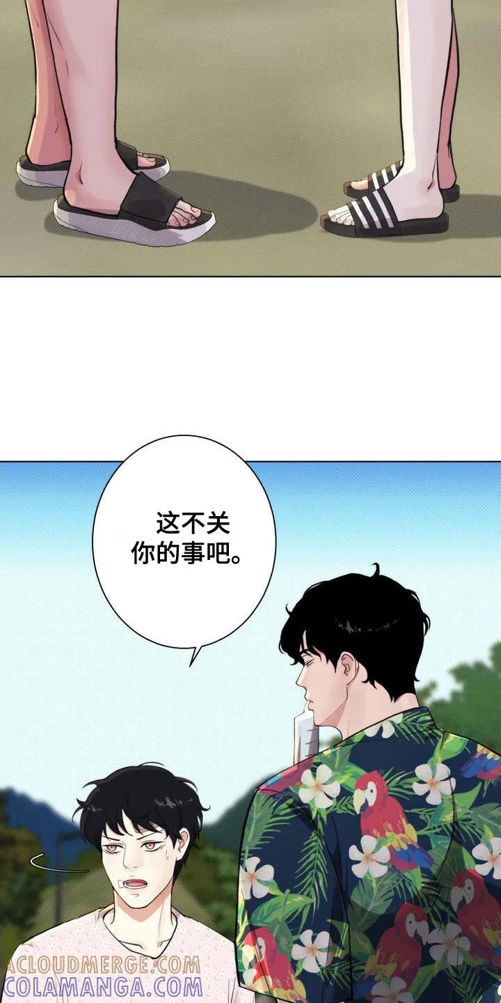 《海岛人生》第3章：地头蛇 第11页