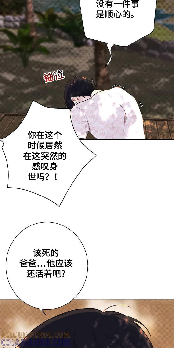 《海岛人生》第4章：撒酒疯 第21页