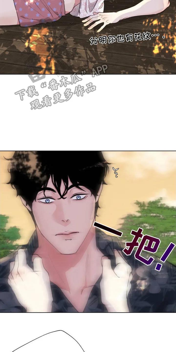 《海岛人生》第4章：撒酒疯 第14页