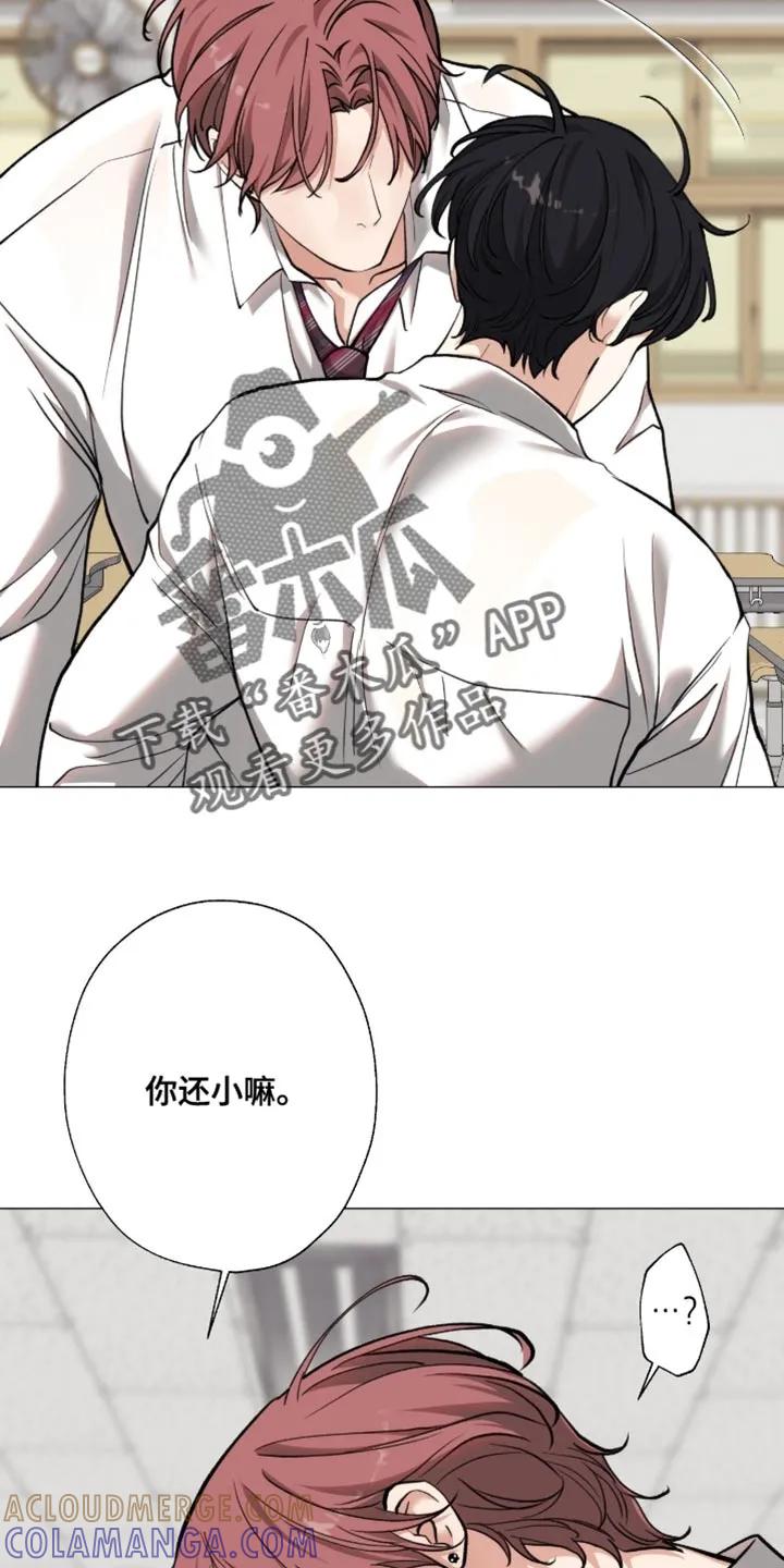《海岛人生》第94章：【第二季】不要开玩笑 第7页