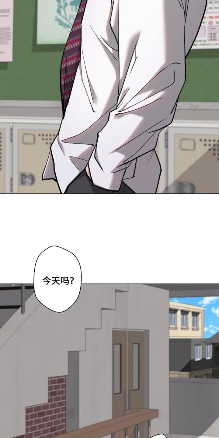 《海岛人生》第97章：【第二季】不要想太多 第8页