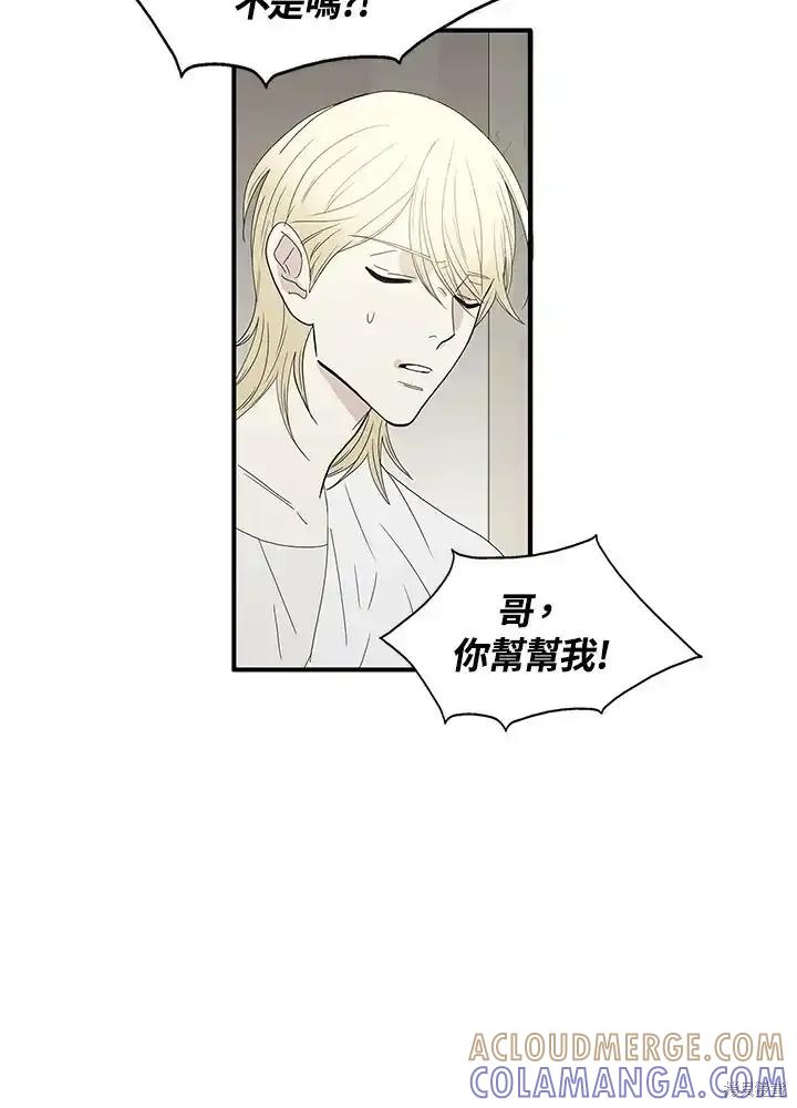 《梅蒂纳》第83话 第19页