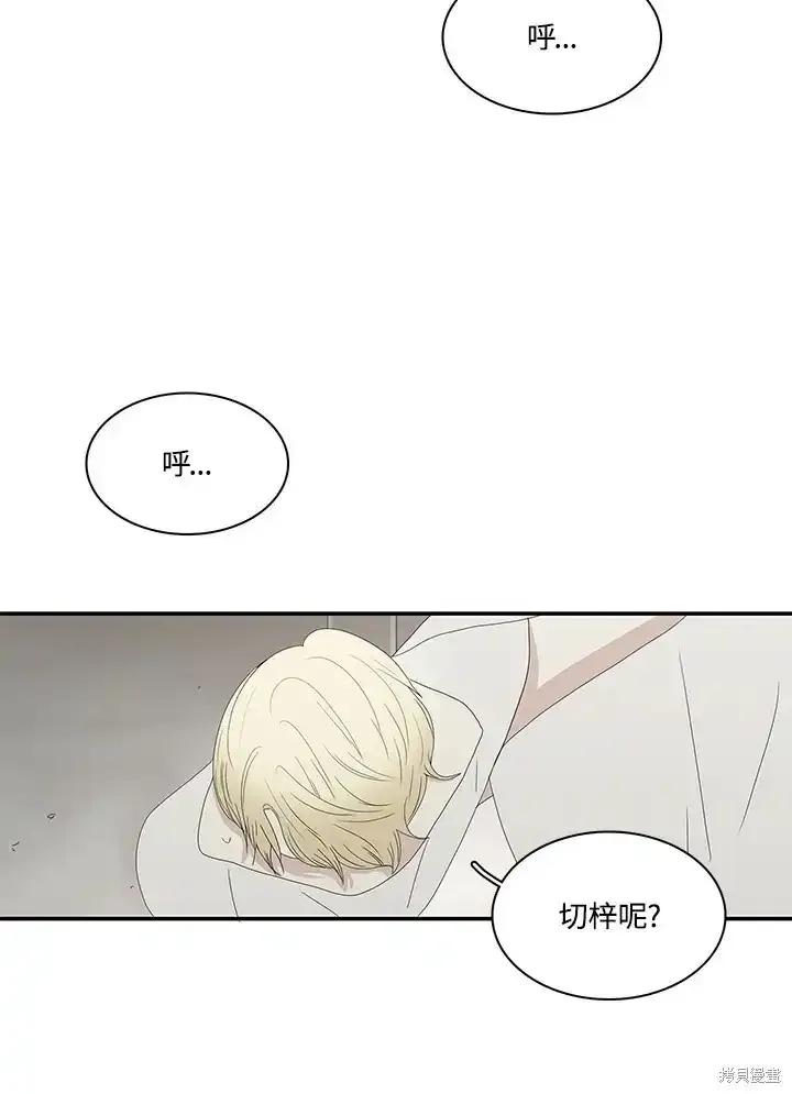 《梅蒂纳》第83话 第11页