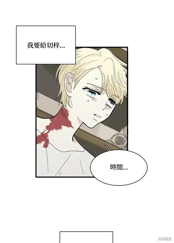《梅蒂纳》第85话 第36页