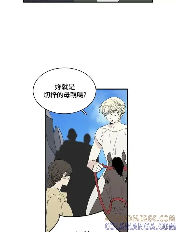 《梅蒂纳》第87话 第28页