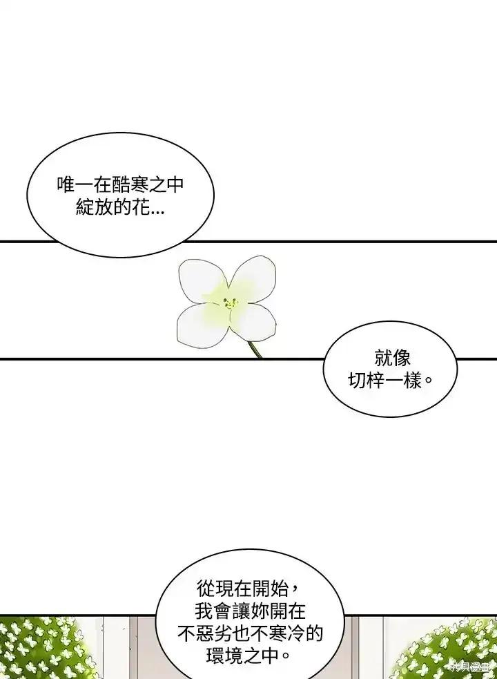 《梅蒂纳》第87话 第50页