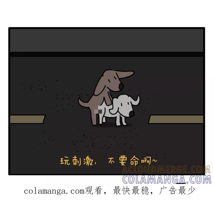 《一秒变神经病》高速激情 第5页