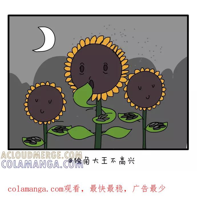《一秒变神经病》向日葵 第5页