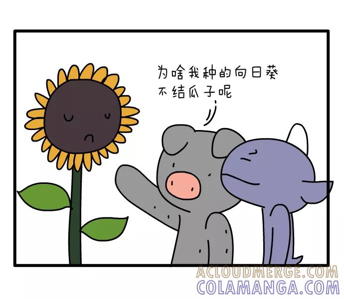 《一秒变神经病》向日葵 第2页
