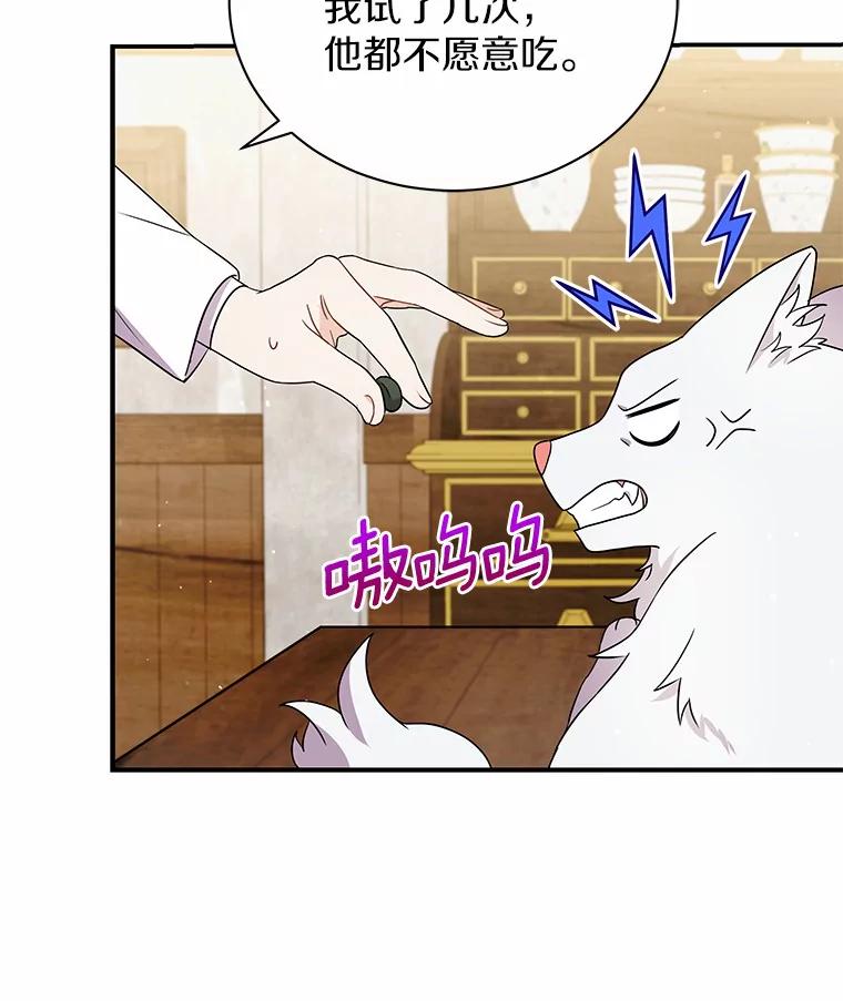 《狼犬男主的驯养师》14.易斯吃了巧克力 第29页