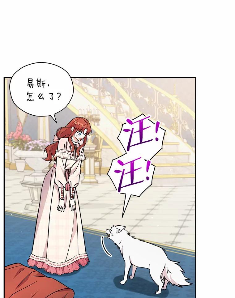 《狼犬男主的驯养师》15.我们去集市吧 第23页