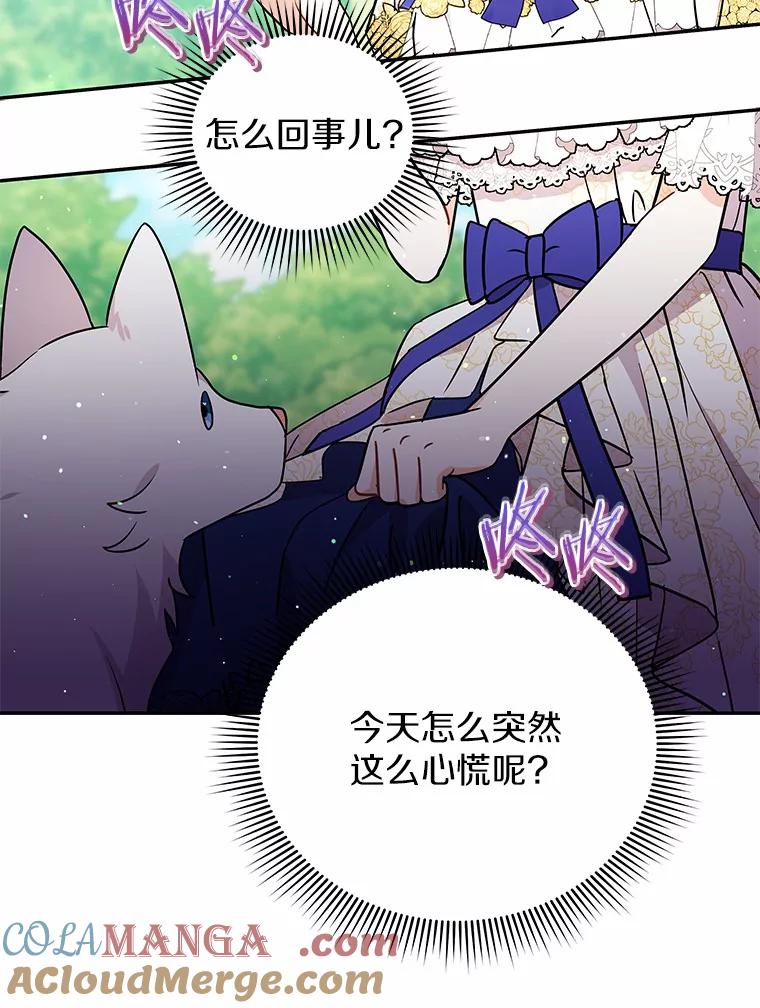 《狼犬男主的驯养师》17.她来了 第85页