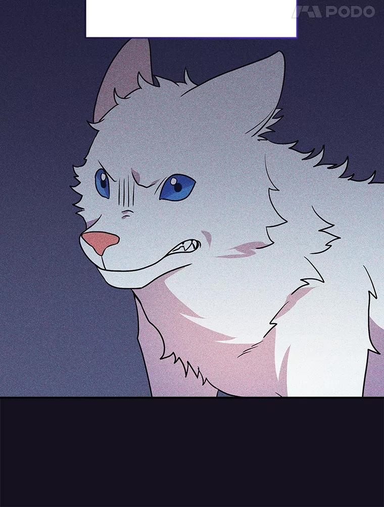 《狼犬男主的驯养师》19.她凭什么 第46页