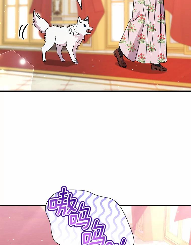 《狼犬男主的驯养师》20.他们要回来了 第56页