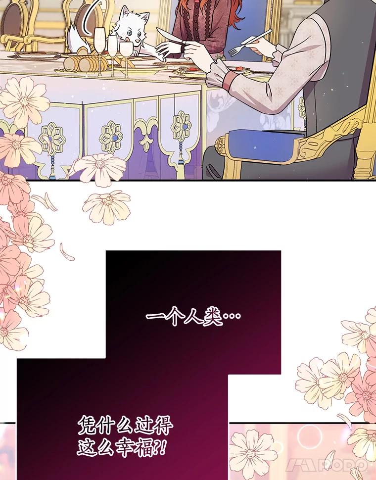 《狼犬男主的驯养师》20.他们要回来了 第11页