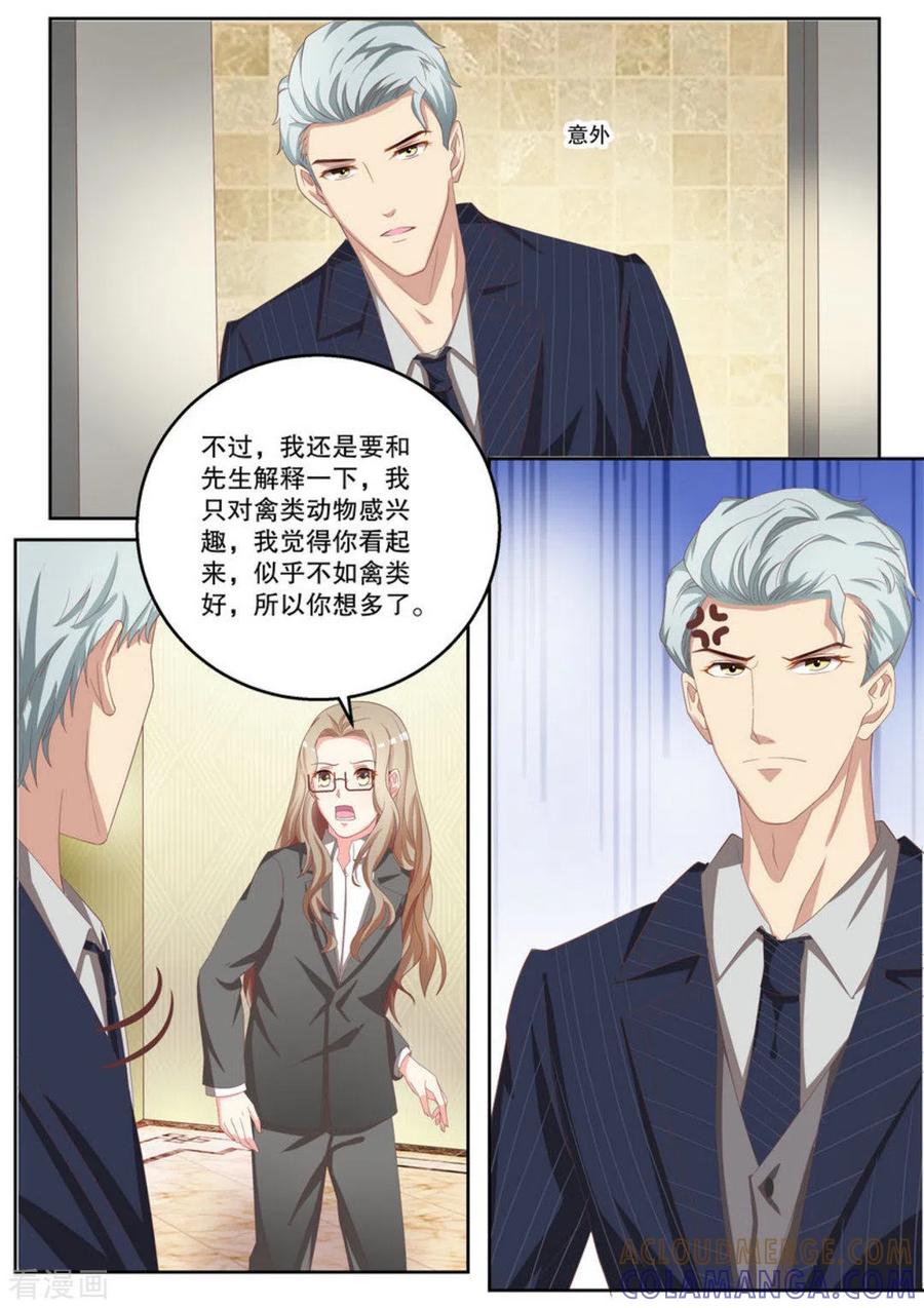 《嗨，首领大人》第6话 第8页