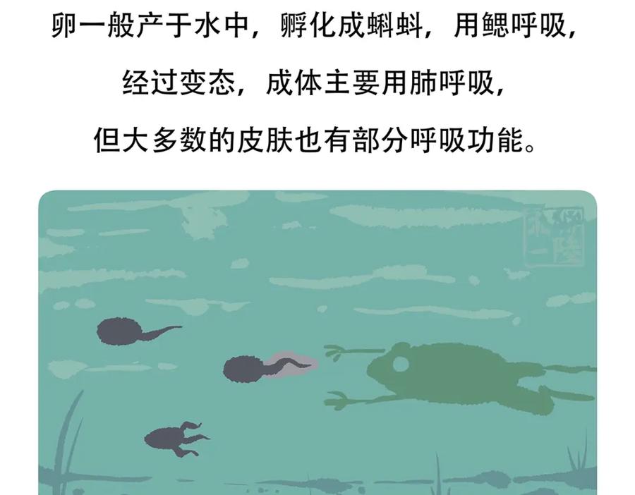 《胖达x胖达》第85话 第28页