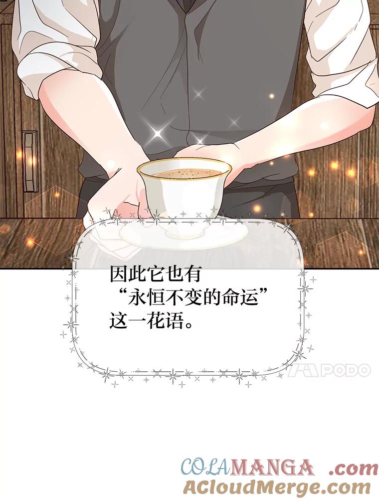 《深夜咖啡店》18.山茶的故事（5） 第37页