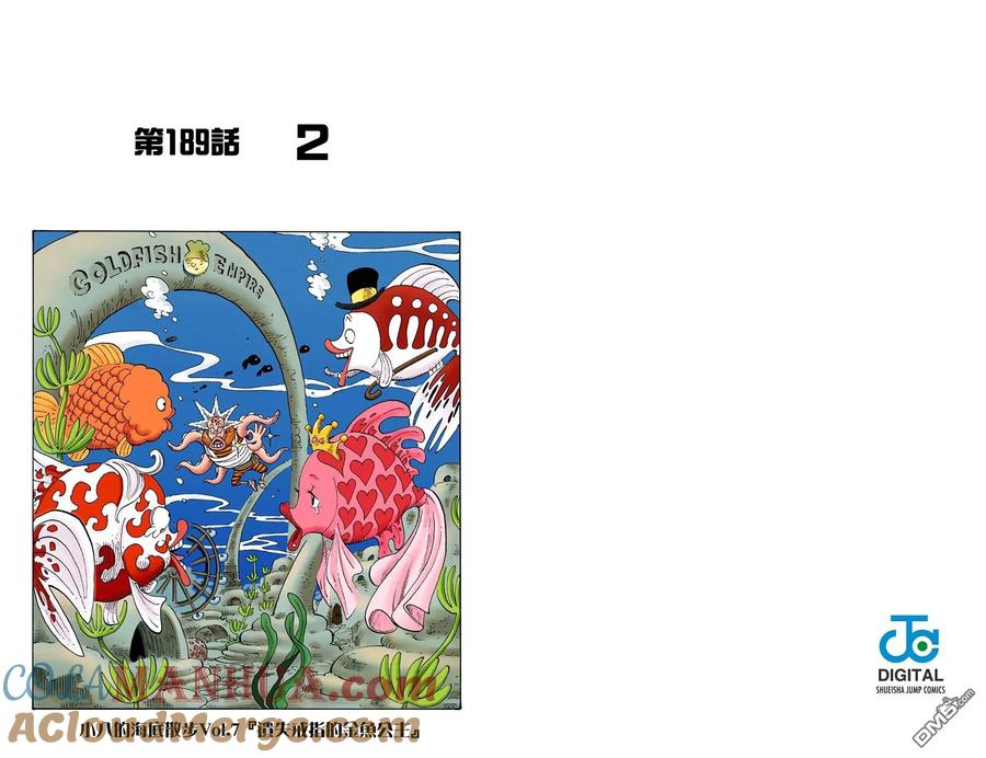 海贼王 全彩版21卷 第22页