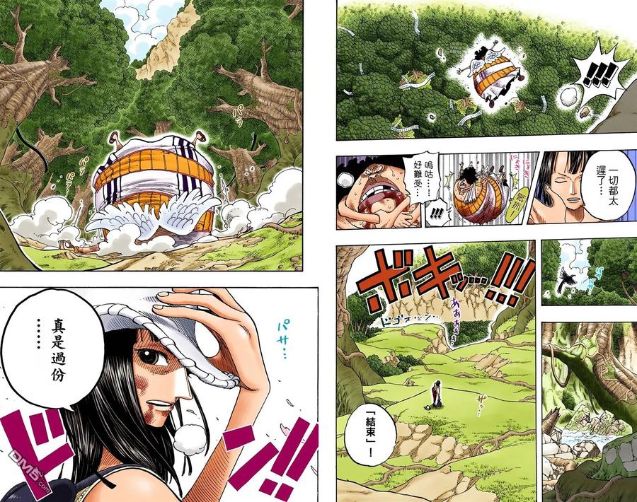 海贼王 全彩版29卷 第11页