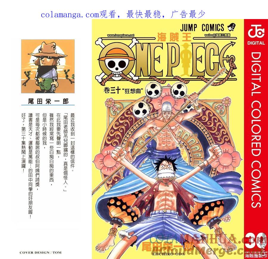 海贼王 全彩版30卷 第1页