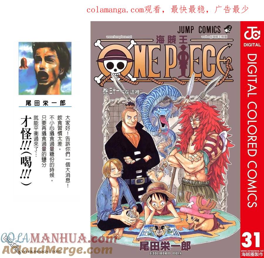 海贼王 全彩版31卷 第1页